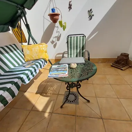 Geraneos In The Center By Irent Fuerteventura